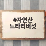 자연산 느타리버섯