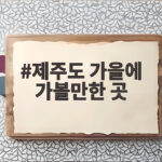 제주도 가을에 가볼만한 곳 억새와 단풍의 계절이 왔어요 제주도 가을에 가볼만한 곳