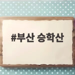 부산 승학산 억새 군락지 지금 가을 산행 가기 좋은 이유 부산 승학산