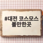 대전 코스모스 볼만한곳 지금 가을꽃 구경 가기 좋은 이유와 개화시기 대전 코스모스 볼만한곳