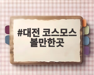 대전 코스모스 볼만한곳