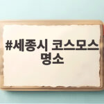 세종시 코스모스 명소 해 질 무렵 분홍빛 물결 따라 걸어요 세종시 코스모스 명소