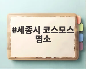세종시 코스모스 명소