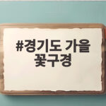 경기도 가을 꽃구경 10월에 아이와 가볼 만한 명소 10곳 경기도 가을 꽃구경