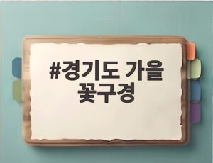 경기도 가을 꽃구경