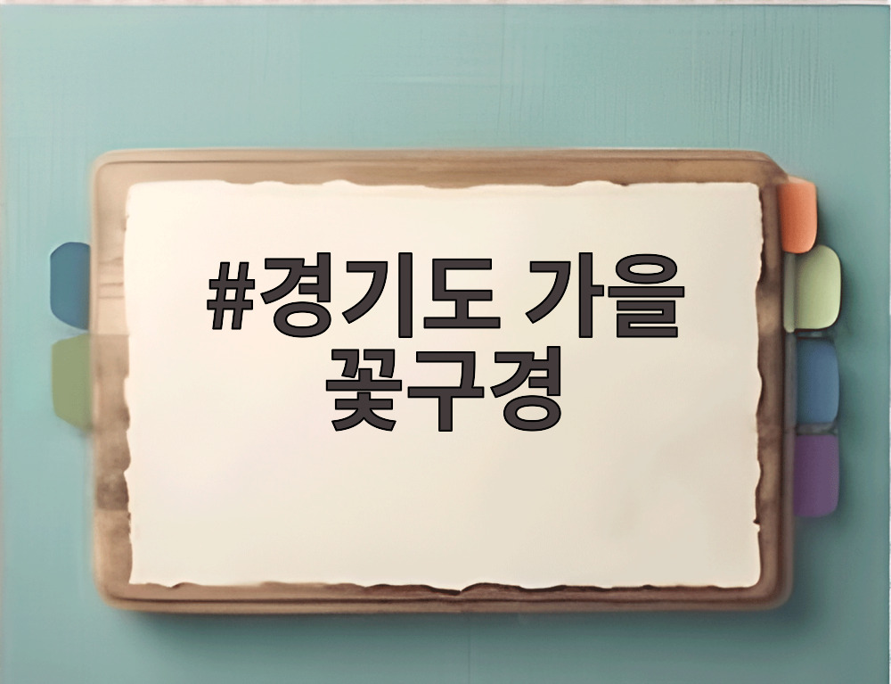경기도 가을 꽃구경