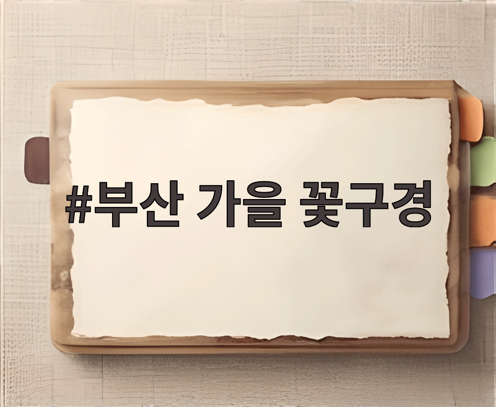 부산 가을 꽃구경