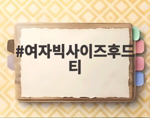 여자빅사이즈후드티