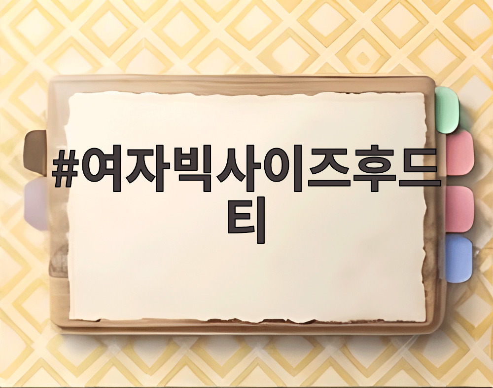 여자빅사이즈후드티