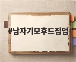 남자기모후드집업