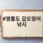 영흥도 갑오징어 낚시 10월 물때와 채비 준비 확인한 출조 후기 영흥도 갑오징어 낚시