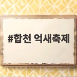 합천 억새축제 2026 일정부터 주차 꿀팁까지 놓치지 마세요 합천 억새축제