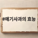 애기사과의 효능, 작고 빨간 열매가 건강에 좋은 이유 애기사과의 효능