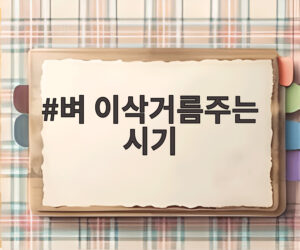 벼 이삭거름주는 시기