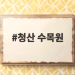 청산 수목원 가을 꽃구경 핑크뮬리 팜파스 만개 시기는 언제일까 청산 수목원