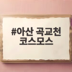 아산 곡교천 코스모스 10월 초 절정 풍경과 주차 팁 아산 곡교천 코스모스