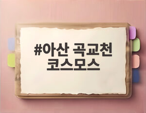 아산 곡교천 코스모스