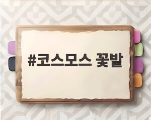 코스모스 꽃밭