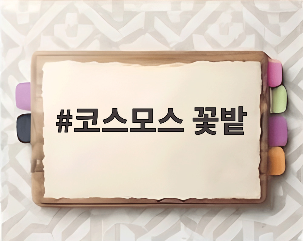 코스모스 꽃밭
