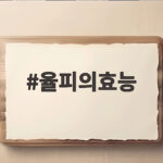 율피의효능