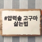 압력솥 고구마 삶는법 시간과 물양만 알면 포슬포슬 완성 압력솥 고구마 삶는법