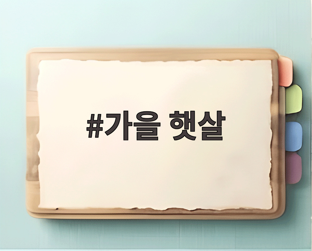 가을 햇살