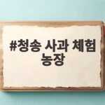 청송 사과 체험 농장에서 가을 한 바구니 가득 따는 기쁨 청송 사과 체험 농장