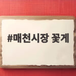 매천시장 꽃게 수율 좋은 것 고르는 방법과 찌는 시간을 알려드려요 매천시장 꽃게