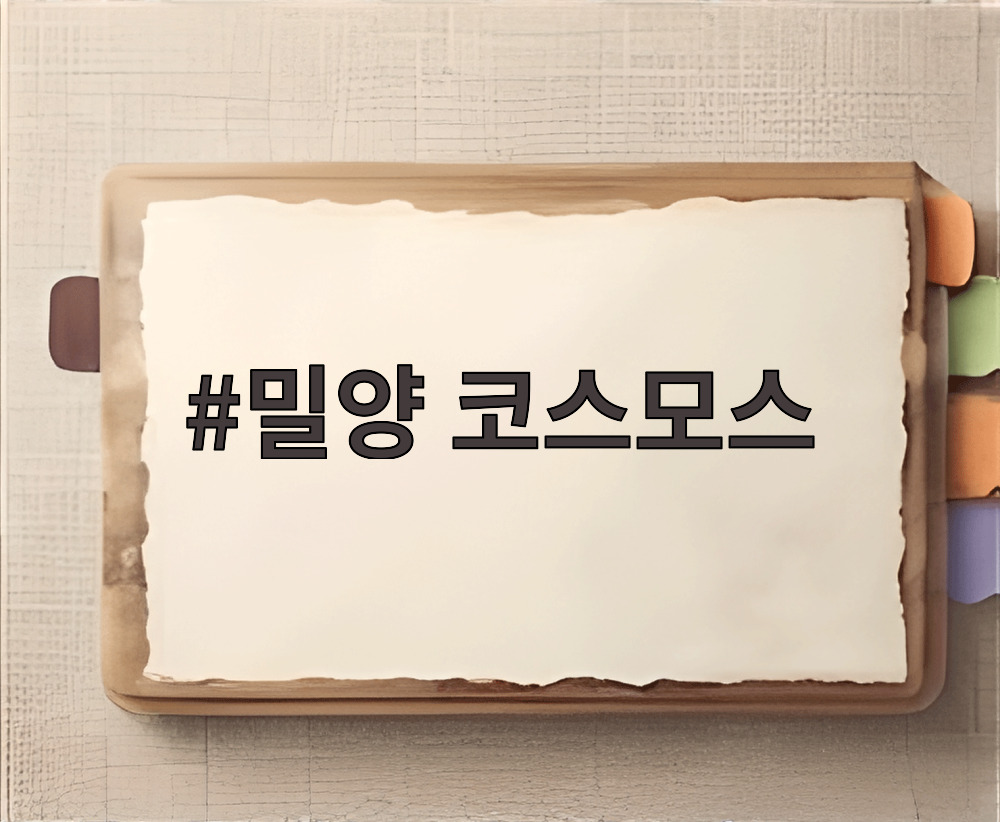 밀양 코스모스