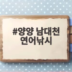 양양 남대천 연어낚시 언제 어디서 잡을까 총정리 양양 남대천 연어낚시