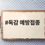 독감 예방접종 75세 이상 오늘부터 무료 접종 시작 대상과 일정 독감 예방접종
