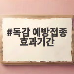 독감 예방접종 효과기간은 6개월일까 2주가 필요할까 독감 예방접종 효과기간