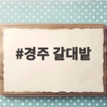 경주 갈대밭에서 만난 가을 풍경과 사진 명소 추천 경주 갈대밭