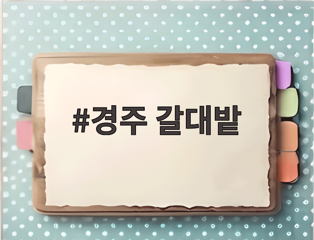 경주 갈대밭