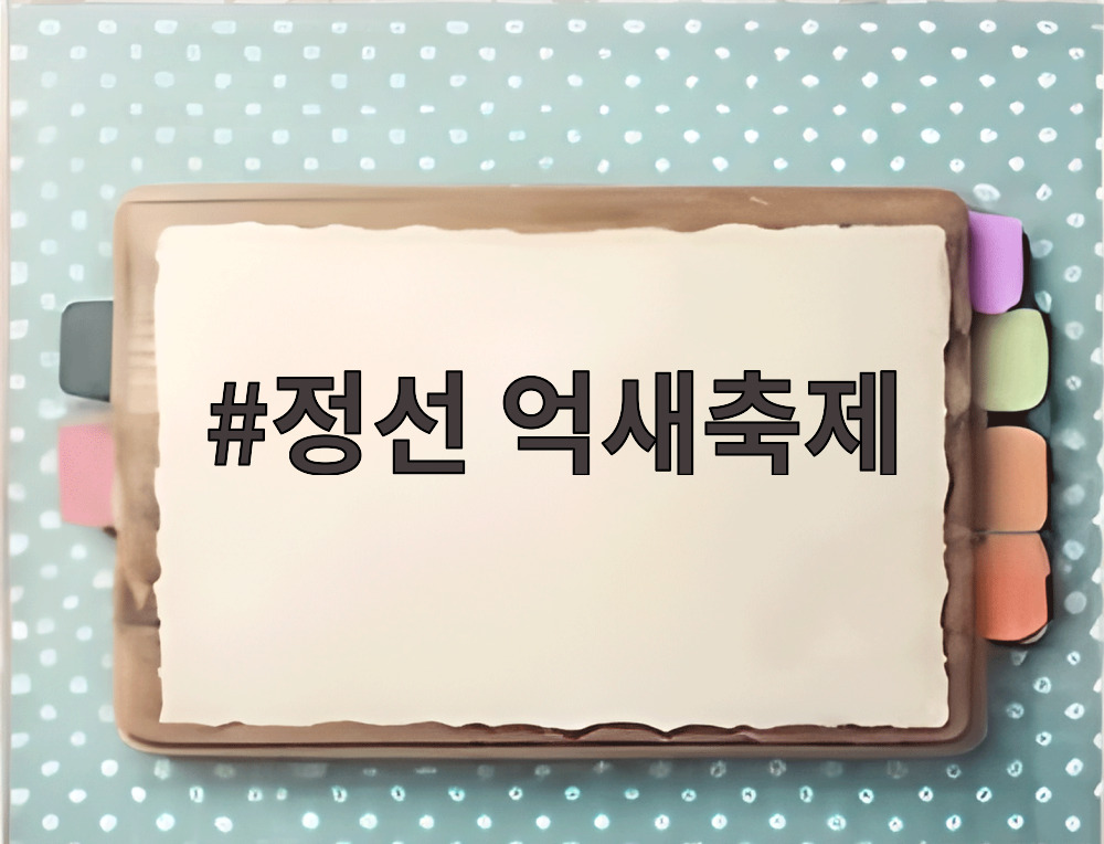 정선 억새축제