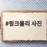 핑크뮬리 사진