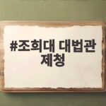 조희대 대법관 제청 거부 위헌 논란 국회 국감 핵심 정리 조희대 대법관 제청