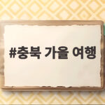 충북 가을 여행
