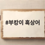 부캉이 흑상어로 확인된 3m 암컷 상어를 지금 만나다 부캉이 흑상어