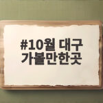 10월 대구 가볼만한곳 은빛 억새와 핑크뮬리 가을 나들이 명소 10월 대구 가볼만한곳