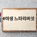 야생 느타리버섯 언제 어디서 나오고 얼마나 자랄까 야생 느타리버섯