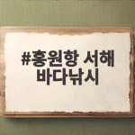 홍원항 서해 바다낚시 가을 주꾸미 갑오징어 이번 시즌 놓치면 아쉽습니다 홍원항 서해 바다낚시