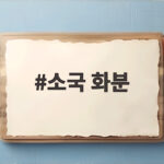 소국 화분 가을 베란다에서 오래 예쁘게 키우는 방법 소국 화분