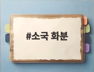소국 화분