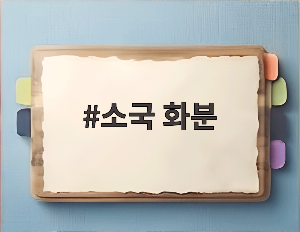 소국 화분