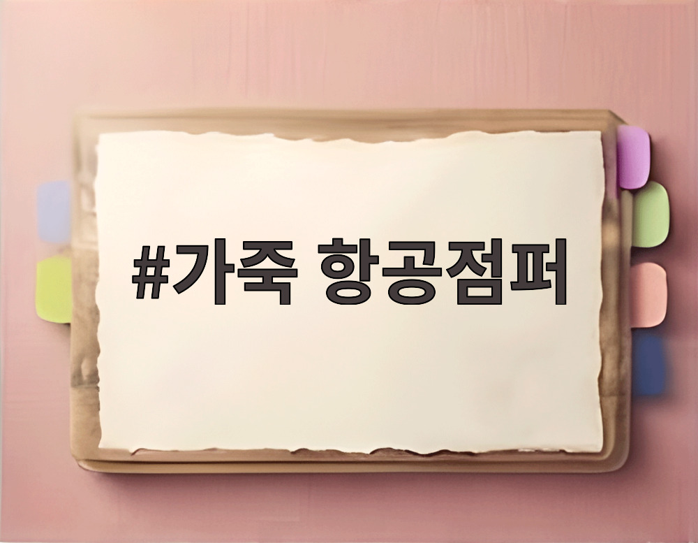 가죽 항공점퍼