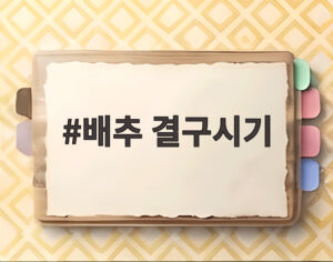 배추 결구시기