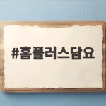 홈플러스담요