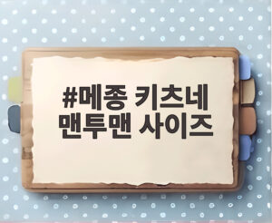 메종 키츠네 맨투맨 사이즈