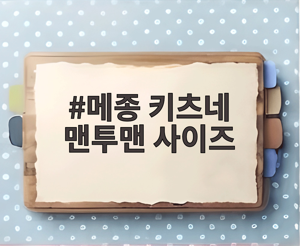 메종 키츠네 맨투맨 사이즈